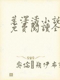 叶泽涛小说全文免费阅读全文