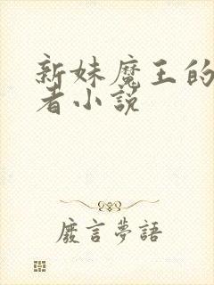 新妹魔王的契约者小说