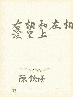 右相和左相一起淦皇上