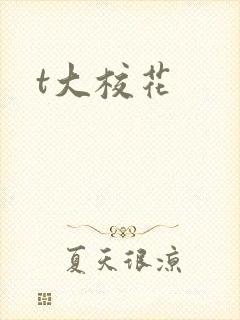 t大校花