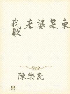 我老婆是东方不败