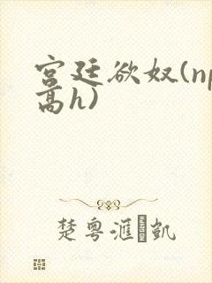 宫廷欲奴(np高h)