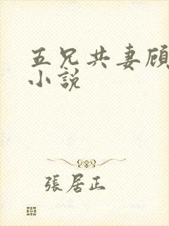 五兄共妻顾心儿小说