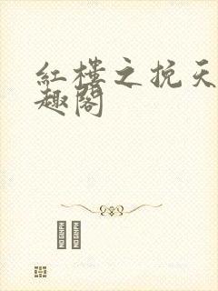 红楼之挽天倾笔趣阁