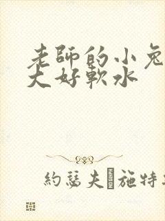 老师的小兔子好大好软水