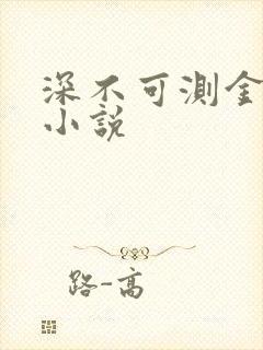 深不可测金银花小说