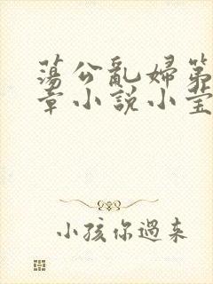 荡公乱妇第51章小说小莹