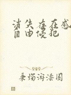 消失存在感消失自由侵犯