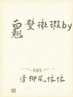 白璧微瑕by连翘