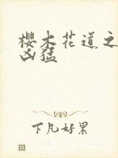 樱木花道之重生凶猛