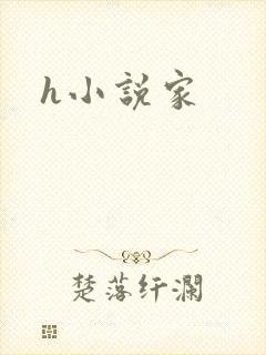 h小说家