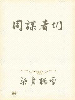 《同谋者们》小说封面