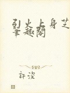 引火上身芝麻糖笔趣阁