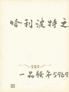 哈利波特之守护