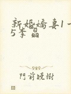 新婚娇妻1一25李晶
