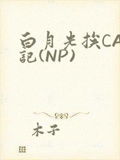白月光挨CAO记(NP)