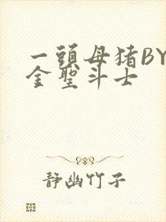 一头母猪BY黄金圣斗士