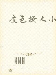 夜色撩人小说