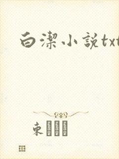 白洁小说txt