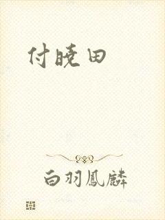 付晓田