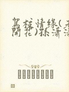 驾校情缘(老树开花)孙潇潇笔趣阁