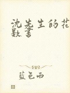 沈先生的花式调数书