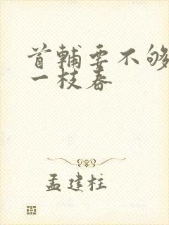 首辅要不够po一枝春