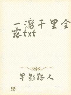 一泻千里金银花露txt