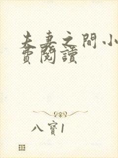 夫妻之间小说免费阅读