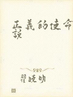 正义的使命 小说