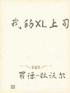 我的XL上司