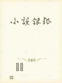 小说银狐