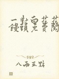 一对白花花的大馒头免费阅读