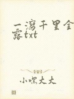 一泻千里金银花露txt