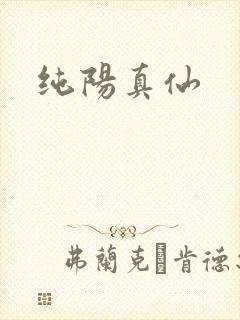 纯阳真仙