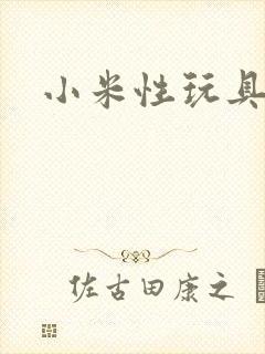 小米性玩具日记