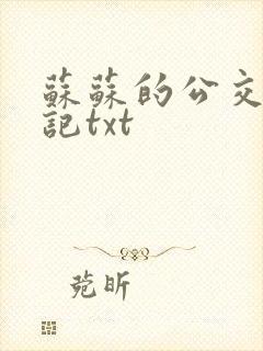 《苏苏的公交车日记txt》小说封面