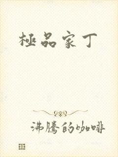 极品家丁