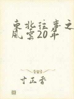 东北往事之黑道风云20年