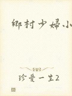 乡村少妇小说封面