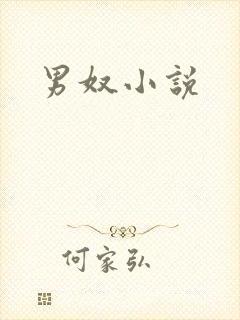 男奴小说