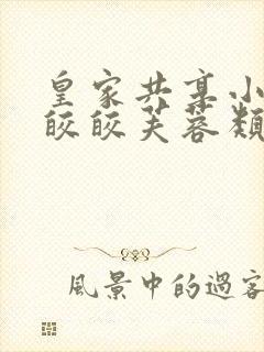 皇家共享小公主皎皎芙蓉类小说