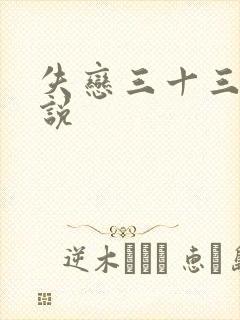 失恋三十三天小说