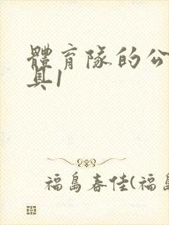 体育队的公用玩具1