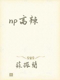 np高辣