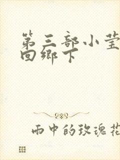 第三部小莹乱翁回乡下