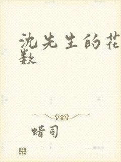 沈先生的花式调数