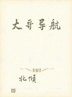 大哥导航