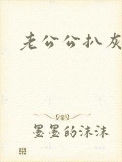 老公公扒灰小说