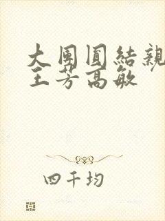 《大团圆结亲情会王芳高敏》小说封面